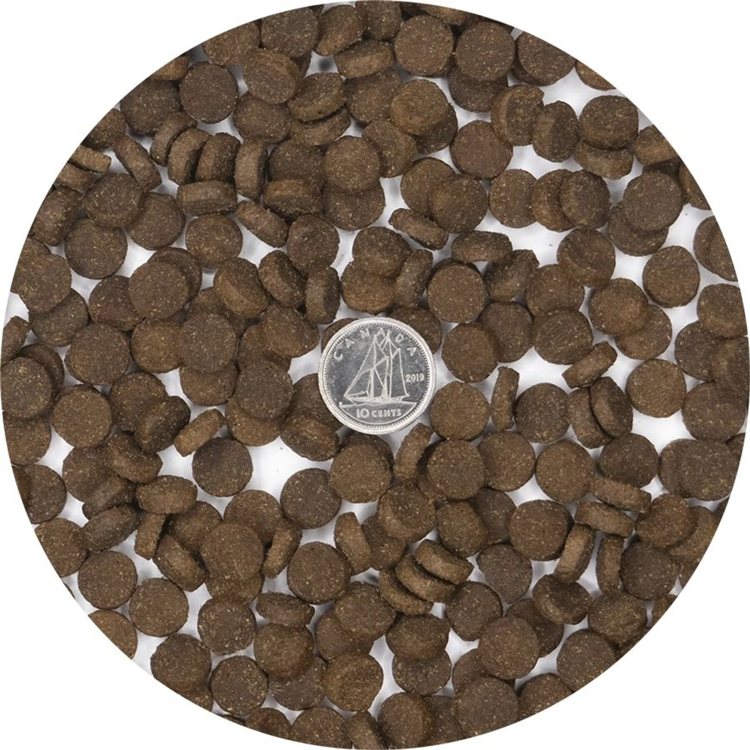 Inukshuk Performance Marine 16 Dog Dry Food, 33-lb Bag 5 Inukshuk Performance Marine 16 Dog Dry Food, 33-lb Bag - Image 3