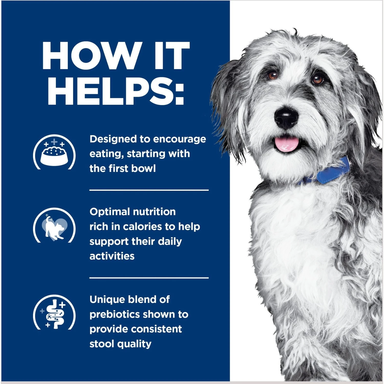 Hill's Prescription Diet ONC Care Chicken & Vegetable Stew Wet Dog Food 6 Hill's Prescription Diet ONC Care Chicken & Vegetable Stew Wet Dog Food - Image 4