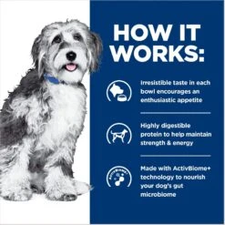 Hill's Prescription Diet ONC Care Chicken & Vegetable Stew Wet Dog Food 15 Hill's Prescription Diet ONC Care Chicken & Vegetable Stew Wet Dog Food -Blue Buffalo || ROYAL CANIN || Wellness Sales 765358 PT4. AC SS1800 V1675112928