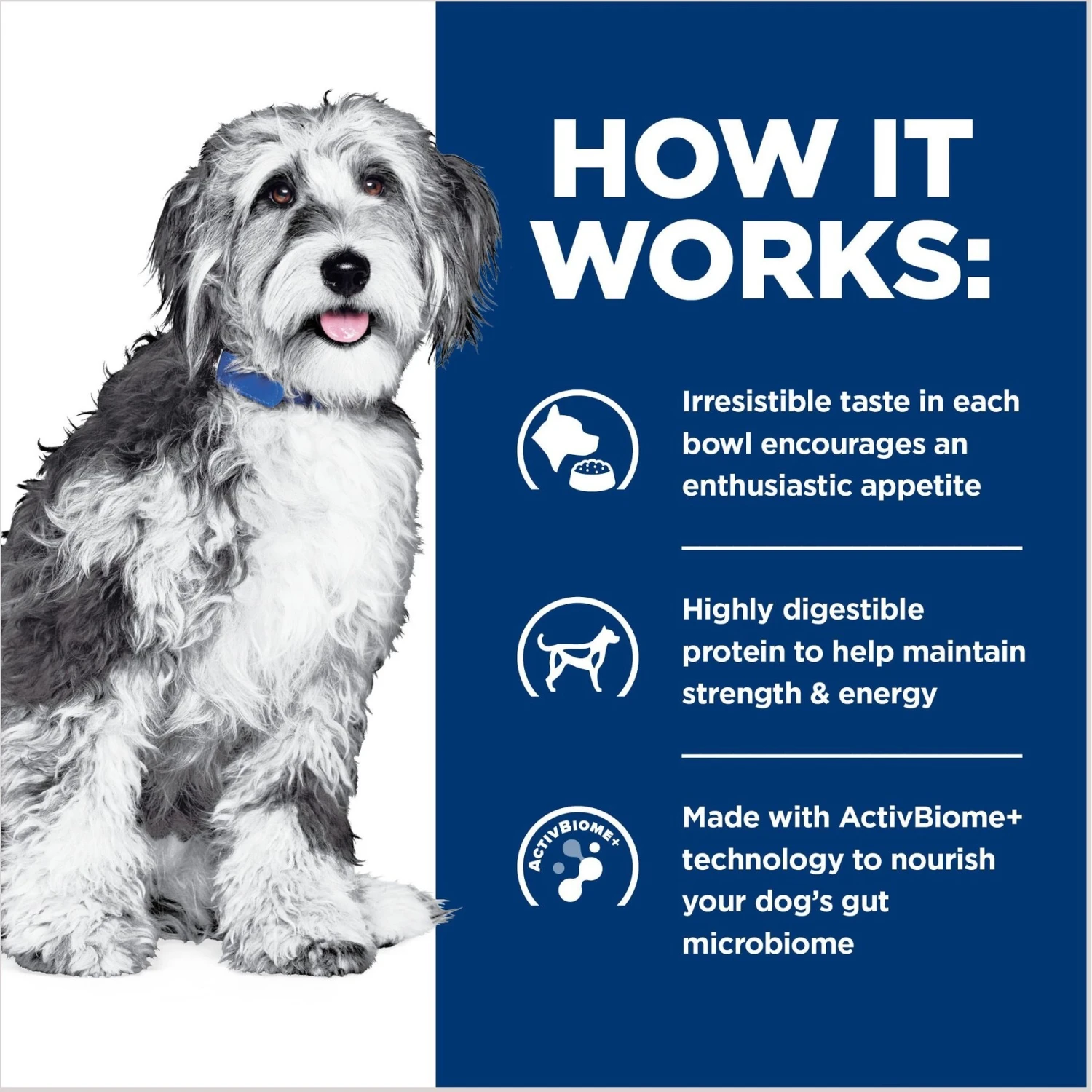 Hill's Prescription Diet ONC Care Chicken & Vegetable Stew Wet Dog Food 7 Hill's Prescription Diet ONC Care Chicken & Vegetable Stew Wet Dog Food - Image 5