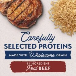 Natural Balance Limited Ingredient Beef & Brown Rice Small Breed Recipe Dry Dog Food -Blue Buffalo || ROYAL CANIN || Wellness Sales 765542 PT2. AC SS1800 V1676476029