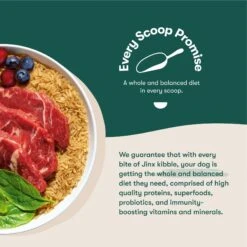 Jinx Beef, Brown Rice & Sweet Potato ALS Kibble Dog Dry Food 14 Jinx Beef, Brown Rice & Sweet Potato ALS Kibble Dog Dry Food -Blue Buffalo || ROYAL CANIN || Wellness Sales 765582 PT5. AC SS1800 V1675200403