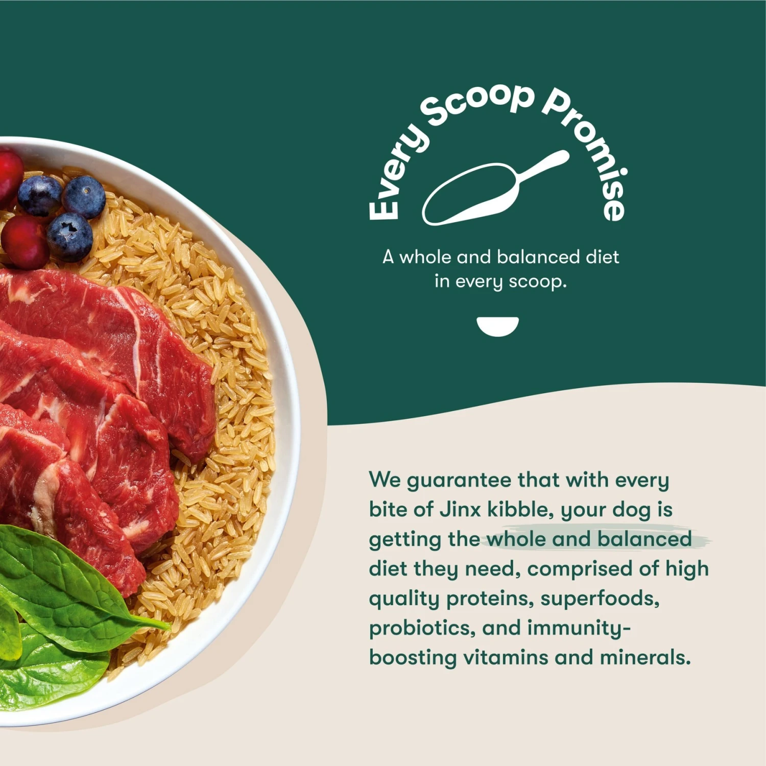 Jinx Beef, Brown Rice & Sweet Potato ALS Kibble Dog Dry Food 8 Jinx Beef, Brown Rice & Sweet Potato ALS Kibble Dog Dry Food - Image 6