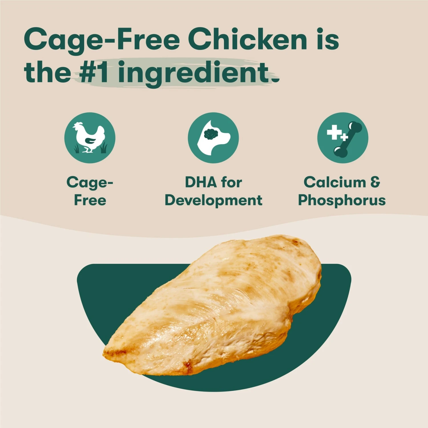 Jinx Jr Whole Grain Chicken Recipe Natural Dry Puppy Food, 4-lb Bag 5 Jinx Jr Whole Grain Chicken Recipe Natural Dry Puppy Food, 4-lb Bag - Image 3