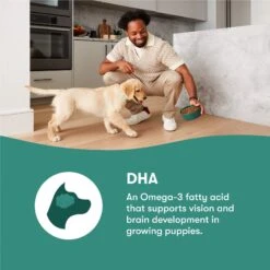 Jinx Jr Whole Grain Chicken Recipe Natural Dry Puppy Food, 4-lb Bag 12 Jinx Jr Whole Grain Chicken Recipe Natural Dry Puppy Food, 4-lb Bag -Blue Buffalo || ROYAL CANIN || Wellness Sales 765598 PT3. AC SS1800 V1675201411