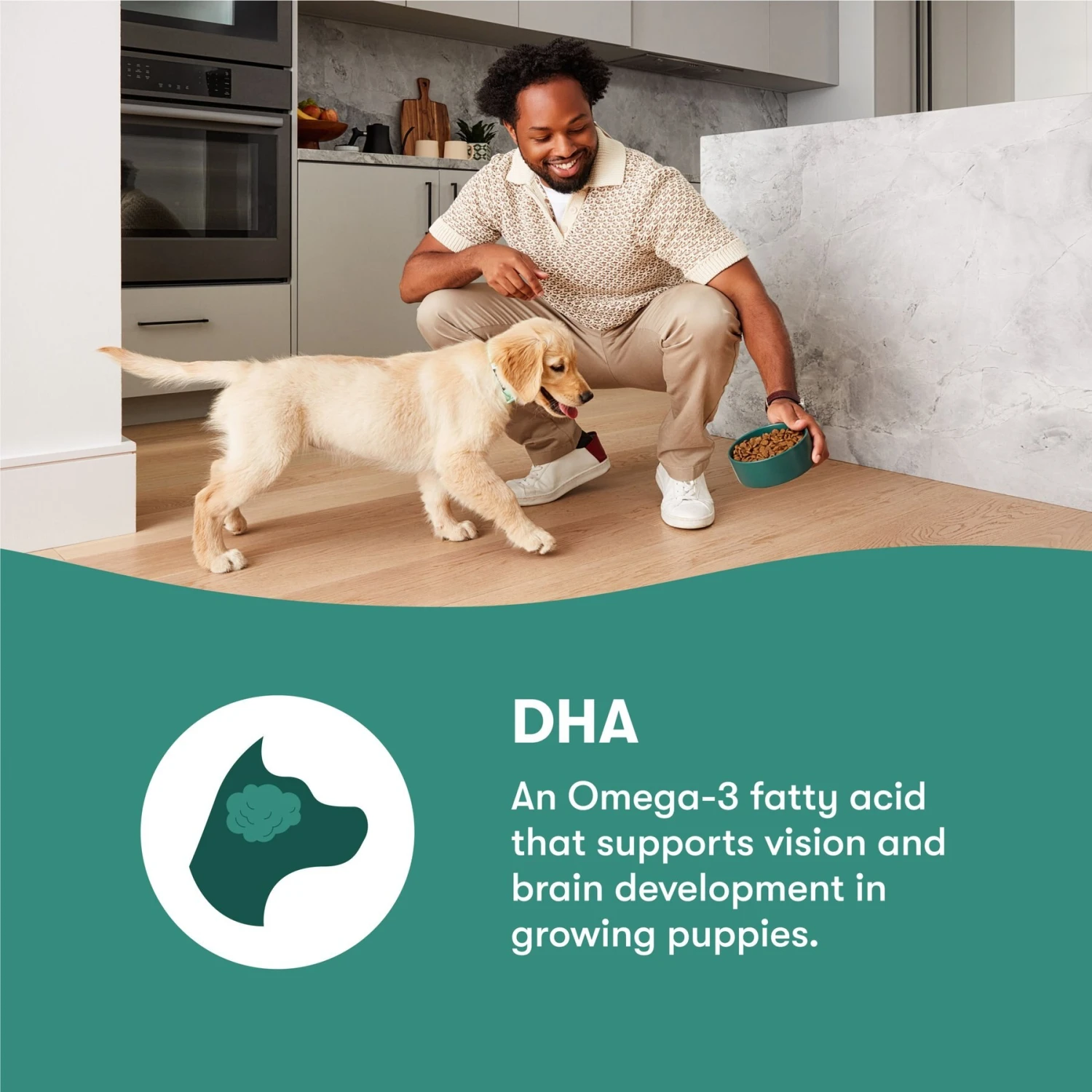 Jinx Jr Whole Grain Chicken Recipe Natural Dry Puppy Food, 4-lb Bag 6 Jinx Jr Whole Grain Chicken Recipe Natural Dry Puppy Food, 4-lb Bag - Image 4