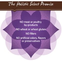 Holistic Select Adult Health Grain-Free Deboned Turkey & Lentils Recipe Dry Dog Food -Blue Buffalo || ROYAL CANIN || Wellness Sales 76657 PT6. AC SS1800 V1660706871