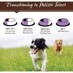 Holistic Select Adult Health Grain-Free Deboned Turkey & Lentils Recipe Dry Dog Food -Blue Buffalo || ROYAL CANIN || Wellness Sales 76657 PT8. AC SS1800 V1510776817