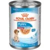Royal Canin Size Health Nutrition Medium Puppy Thin Slices In Gravy Wet Dog Food, 13-oz, Case Of 12 -Blue Buffalo || ROYAL CANIN || Wellness Sales 766710 MAIN. AC SS1800 V1697139169