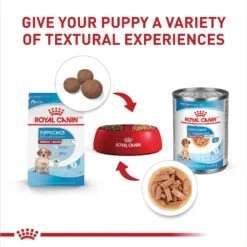 Royal Canin Size Health Nutrition Medium Puppy Thin Slices In Gravy Wet Dog Food, 13-oz, Case Of 12 -Blue Buffalo || ROYAL CANIN || Wellness Sales 766710 PT4. AC SS1800 V1697213092
