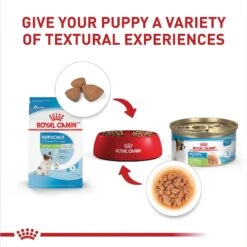 Royal Canin Size Health Nutrition X-Small Puppy Thin Slices In Gravy Wet Dog Food, 3-oz, Case Of 24 -Blue Buffalo || ROYAL CANIN || Wellness Sales 766726 PT5. AC SS1800 V1697212367