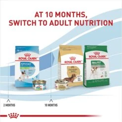 Royal Canin Size Health Nutrition X-Small Puppy Thin Slices In Gravy Wet Dog Food, 3-oz, Case Of 24 -Blue Buffalo || ROYAL CANIN || Wellness Sales 766726 PT6. AC SS1800 V1697213468