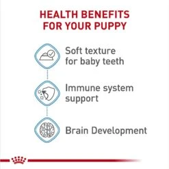 Royal Canin Size Health Nutrition Large Puppy Thin Slices In Gravy Wet Dog Food, 13-oz, Case Of 12 -Blue Buffalo || ROYAL CANIN || Wellness Sales 766742 PT4. AC SS1800 V1697212426