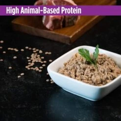 Nulo Freestyle Beef, Peas & Carrot Recipe Grain-Free Canned Dog Food 13 Nulo Freestyle Beef, Peas & Carrot Recipe Grain-Free Canned Dog Food -Blue Buffalo || ROYAL CANIN || Wellness Sales 76747 PT3. AC SS1800 V1665527293