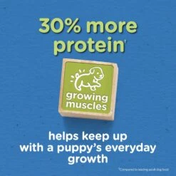 Puppy Chow Tender & Crunchy With Real Beef Dry Dog Food 13 Puppy Chow Tender & Crunchy With Real Beef Dry Dog Food -Blue Buffalo || ROYAL CANIN || Wellness Sales 767774 PT2. AC SS1800 V1675375952