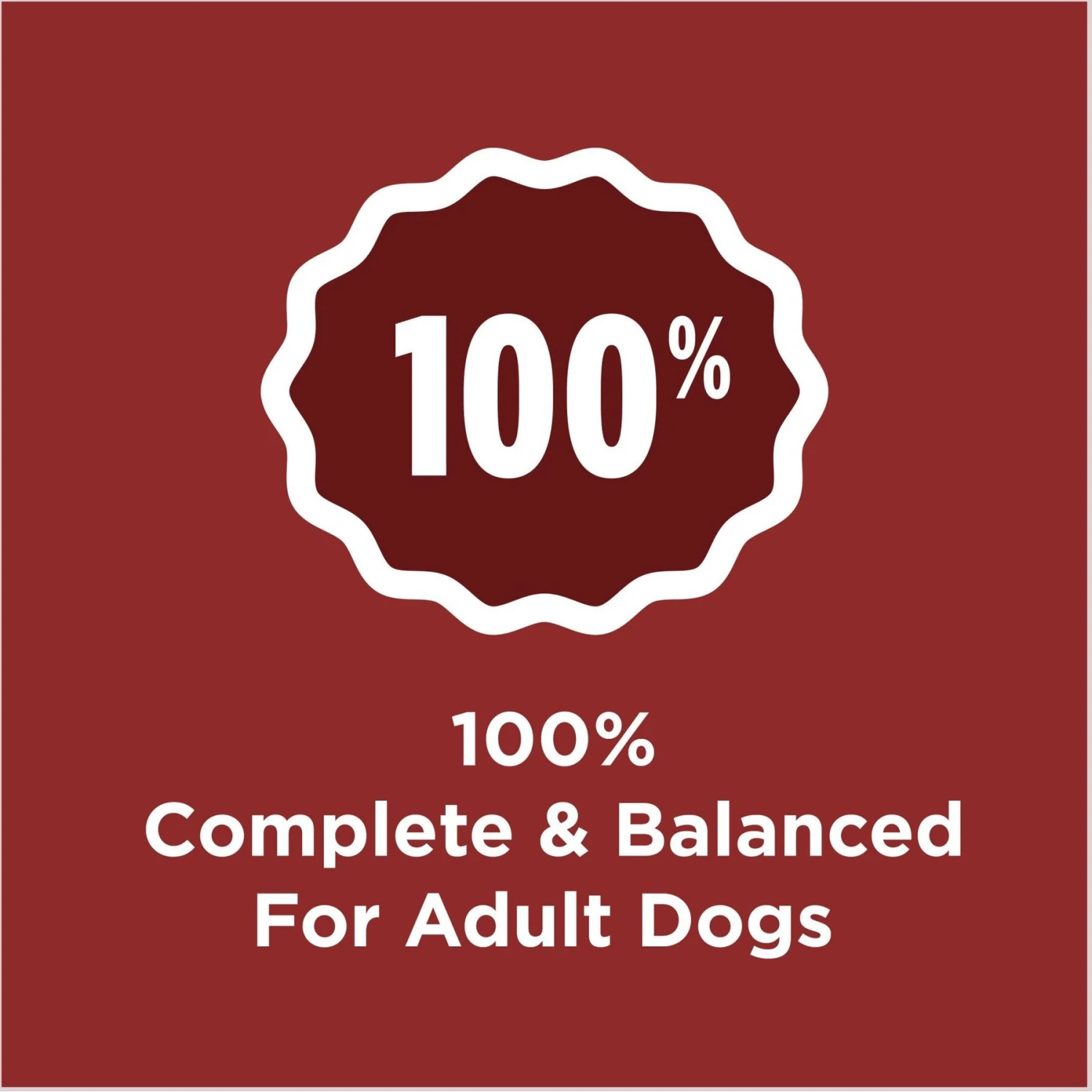 Dog Chow Complete Adult With Real Beef Dry Dog Food 6 Dog Chow Complete Adult With Real Beef Dry Dog Food - Image 4