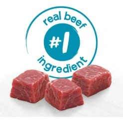 Purina Beneful IncrediBites Filet Mignon Flavor In A Savory Gravy Pate Small Wet Dog Food 16 Purina Beneful IncrediBites Filet Mignon Flavor In A Savory Gravy Pate Small Wet Dog Food -Blue Buffalo || ROYAL CANIN || Wellness Sales 768446 PT5. AC SS1800 V1700157327