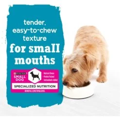 Purina Beneful IncrediBites Chicken & Bacon Flavor In A Savory Gravy Pate Small Wet Dog Food 14 Purina Beneful IncrediBites Chicken & Bacon Flavor In A Savory Gravy Pate Small Wet Dog Food -Blue Buffalo || ROYAL CANIN || Wellness Sales 768510 PT3. AC SS1800 V1700159253