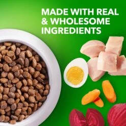 Iams Proactive Health Puppy High Protein DHA Formula With Real Chicken Dry Dog Food -Blue Buffalo || ROYAL CANIN || Wellness Sales 77199 PT3. AC SS1800 V1668024638