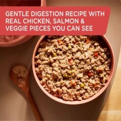 Rachael Ray Nutrish Gentle Digestion Real Chicken, Pumpkin & Salmon Canned Dog Food, 13-oz, Case Of 12 & Rachael Ray Nutrish Real Beef & Pumpkin Canned Dog Food, 13-oz, Case Of 12 -Blue Buffalo || ROYAL CANIN || Wellness Sales 772390 PT4. AC SS1800 V1676576199
