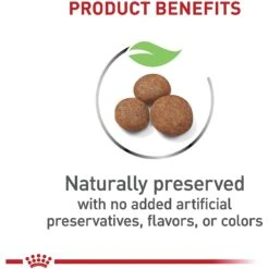 Royal Canin Size Health Nutrition Large Puppy Dry Dog Food -Blue Buffalo || ROYAL CANIN || Wellness Sales 774142 PT3. AC SS1800 V1700156591