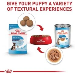 Royal Canin Size Health Nutrition Large Puppy Dry Dog Food -Blue Buffalo || ROYAL CANIN || Wellness Sales 774142 PT5. AC SS1800 V1700158615