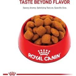 Royal Canin Size Health Nutrition Giant Adult Dry Dog Food -Blue Buffalo || ROYAL CANIN || Wellness Sales 774158 PT1. AC SS1800 V1676063680