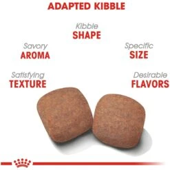 Royal Canin Size Health Nutrition Giant Adult Dry Dog Food -Blue Buffalo || ROYAL CANIN || Wellness Sales 774158 PT3. AC SS1800 V1676063677