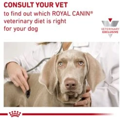 Royal Canin Veterinary Diet Adult Satiety Support Weight Management Loaf In Sauce Canned Dog Food -Blue Buffalo || ROYAL CANIN || Wellness Sales 77545 PT7. AC SS1800 V1676556671