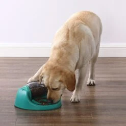Nina Ottosson By Outward Hound Spin N' Eat Dog Food Puzzle Feeder, Green -Blue Buffalo || ROYAL CANIN || Wellness Sales 778214 PT4. AC SS1800 V1694287366