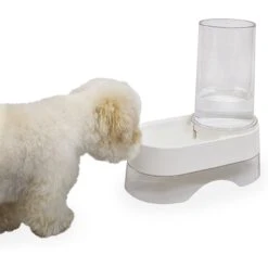 Richell Elevated Gravity Water Dispenser Dog & Cat Bowl -Blue Buffalo || ROYAL CANIN || Wellness Sales 778286 PT3. AC SS1800 V1677103202