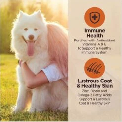 Wellness CORE Digestive Health Chicken & Brown Rice Dry Dog Food, 24-lb Bag 14 Wellness CORE Digestive Health Chicken & Brown Rice Dry Dog Food, 24-lb Bag -Blue Buffalo || ROYAL CANIN || Wellness Sales 778398 PT3. AC SS1800 V1676653908