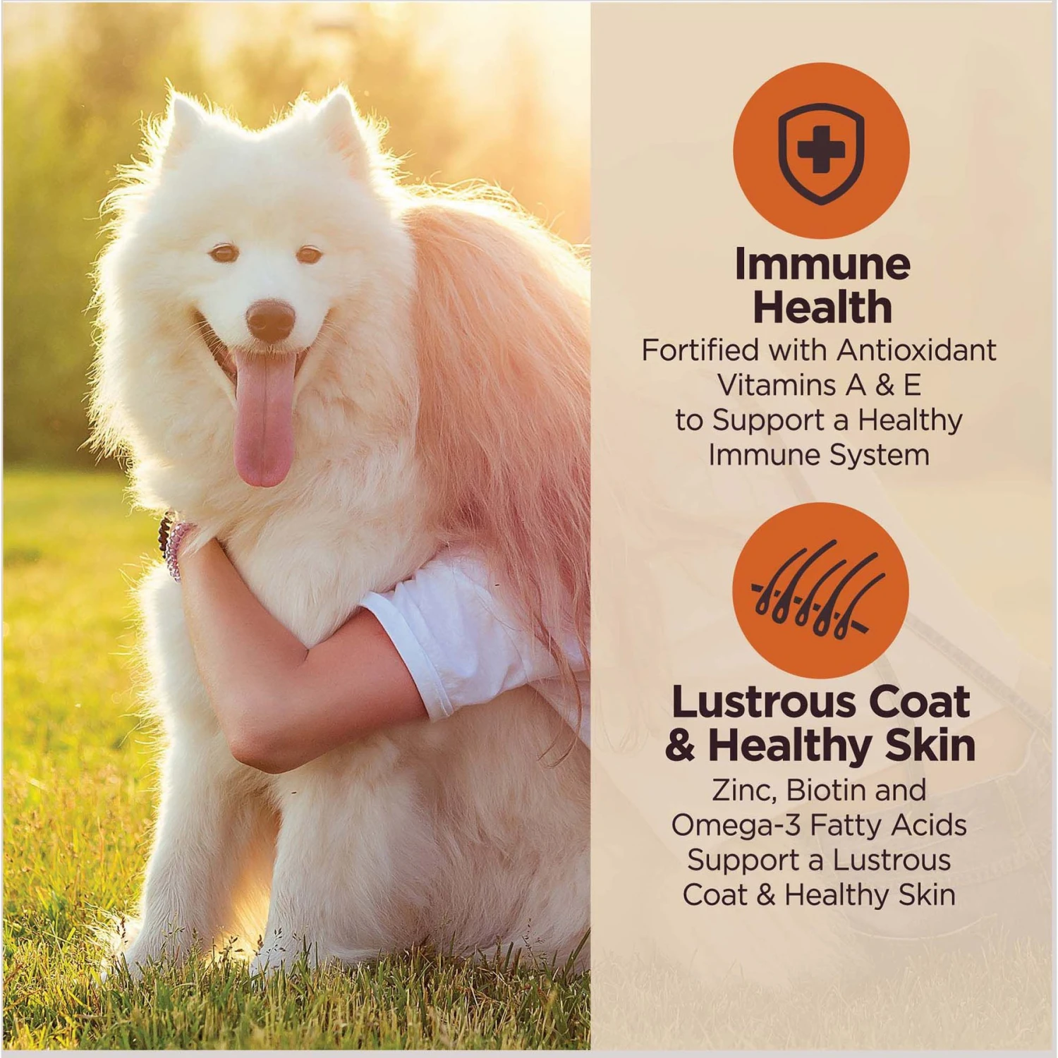 Wellness CORE Digestive Health Chicken & Brown Rice Dry Dog Food, 24-lb Bag 6 Wellness CORE Digestive Health Chicken & Brown Rice Dry Dog Food, 24-lb Bag - Image 4