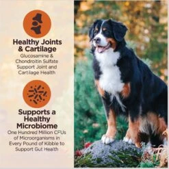 Wellness CORE Digestive Health Chicken & Brown Rice Dry Dog Food, 24-lb Bag 15 Wellness CORE Digestive Health Chicken & Brown Rice Dry Dog Food, 24-lb Bag -Blue Buffalo || ROYAL CANIN || Wellness Sales 778398 PT4. AC SS1800 V1676653911