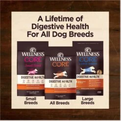 Wellness CORE Digestive Health Chicken & Brown Rice Dry Dog Food, 24-lb Bag 19 Wellness CORE Digestive Health Chicken & Brown Rice Dry Dog Food, 24-lb Bag -Blue Buffalo || ROYAL CANIN || Wellness Sales 778398 PT8. AC SS1800 V1676653574