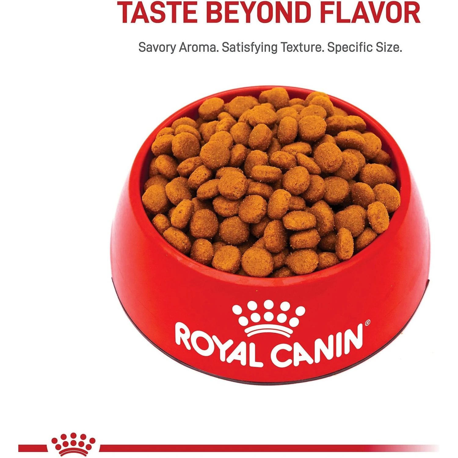 Royal Canin Size Health Nutrition Large Adult Dry Dog Food 4 Royal Canin Size Health Nutrition Large Adult Dry Dog Food - Image 2