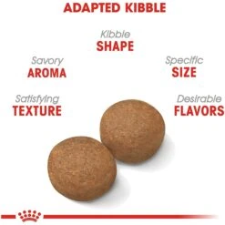 Royal Canin Size Health Nutrition Large Adult Dry Dog Food 14 Royal Canin Size Health Nutrition Large Adult Dry Dog Food -Blue Buffalo || ROYAL CANIN || Wellness Sales 778774 PT3. AC SS1800 V1676653969