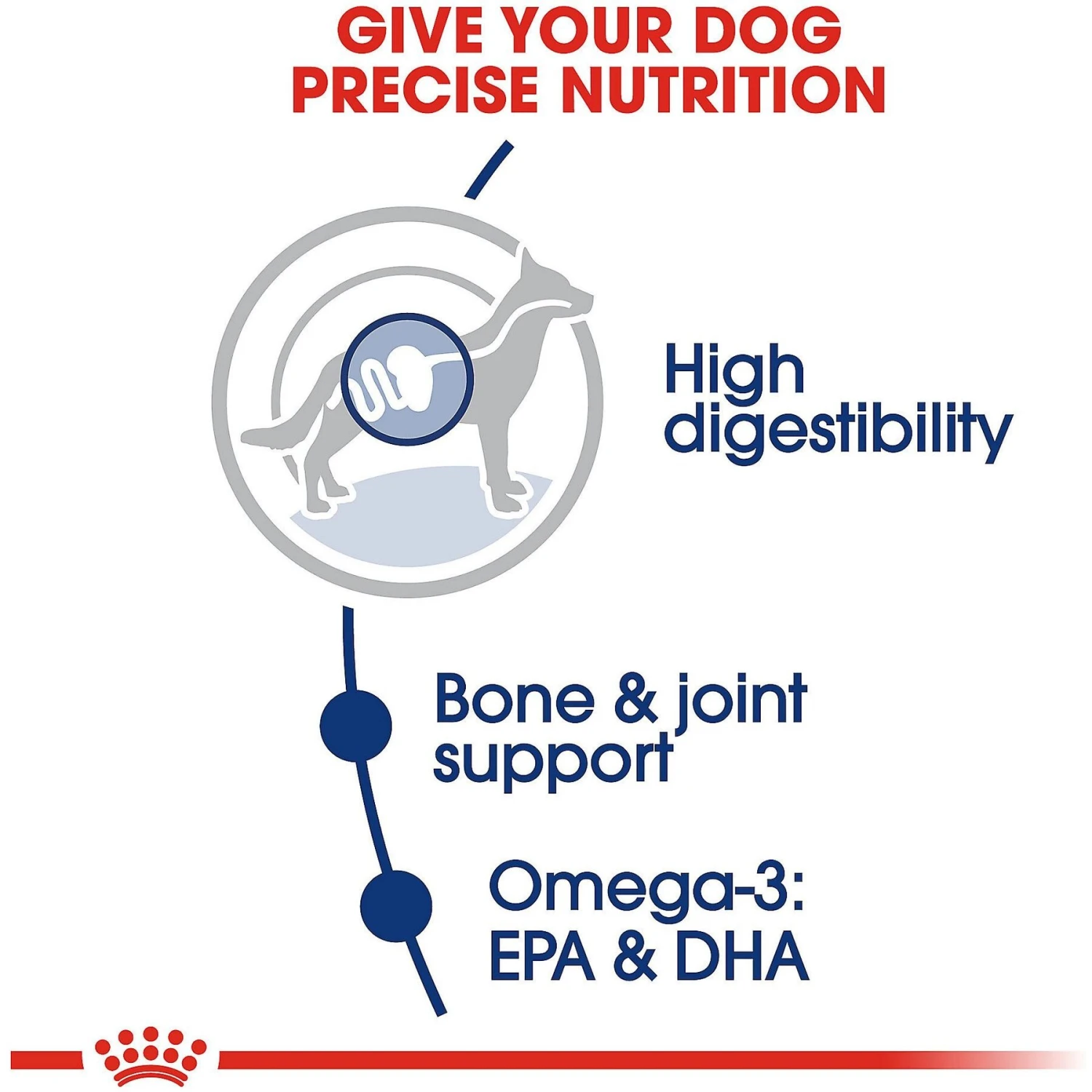 Royal Canin Size Health Nutrition Large Adult Dry Dog Food 7 Royal Canin Size Health Nutrition Large Adult Dry Dog Food - Image 5