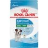 Royal Canin Size Health Nutrition Small Puppy Dry Dog Food -Blue Buffalo || ROYAL CANIN || Wellness Sales 778790 MAIN. AC SS1800 V1676653912