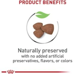 Royal Canin Size Health Nutrition Small Puppy Dry Dog Food -Blue Buffalo || ROYAL CANIN || Wellness Sales 778790 PT3. AC SS1800 V1676654024