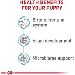 Royal Canin Size Health Nutrition Small Puppy Dry Dog Food -Blue Buffalo || ROYAL CANIN || Wellness Sales 778790 PT4. AC SS1800 V1676653969