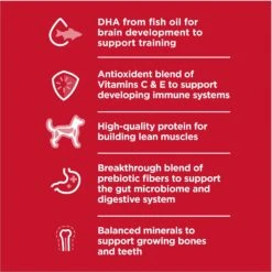 Hill's Science Diet Puppy Large Breed Lamb Meal & Brown Rice Recipe Dry Dog Food -Blue Buffalo || ROYAL CANIN || Wellness Sales 779126 PT2. AC SS1800 V1676907196