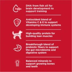 Hill's Science Diet Puppy Large Breed Chicken & Brown Rice Recipe Dry Dog Food 13 Hill's Science Diet Puppy Large Breed Chicken & Brown Rice Recipe Dry Dog Food -Blue Buffalo || ROYAL CANIN || Wellness Sales 779142 PT2. AC SS1800 V1676907199