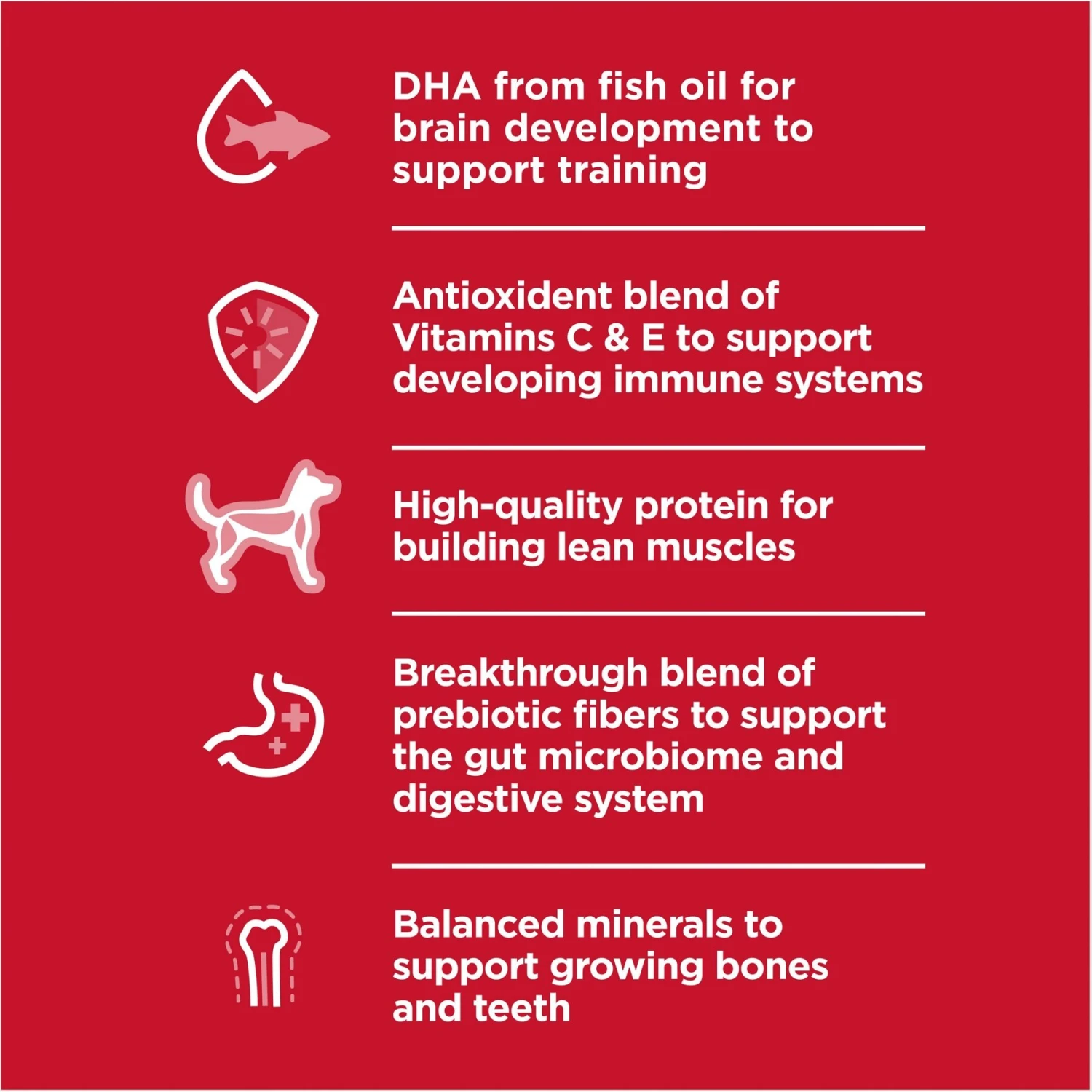 Hill's Science Diet Puppy Large Breed Chicken & Brown Rice Recipe Dry Dog Food 5 Hill's Science Diet Puppy Large Breed Chicken & Brown Rice Recipe Dry Dog Food - Image 3