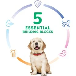 Hill's Science Diet Puppy Large Breed Chicken & Brown Rice Recipe Dry Dog Food 15 Hill's Science Diet Puppy Large Breed Chicken & Brown Rice Recipe Dry Dog Food -Blue Buffalo || ROYAL CANIN || Wellness Sales 779142 PT4. AC SS1800 V1676748535