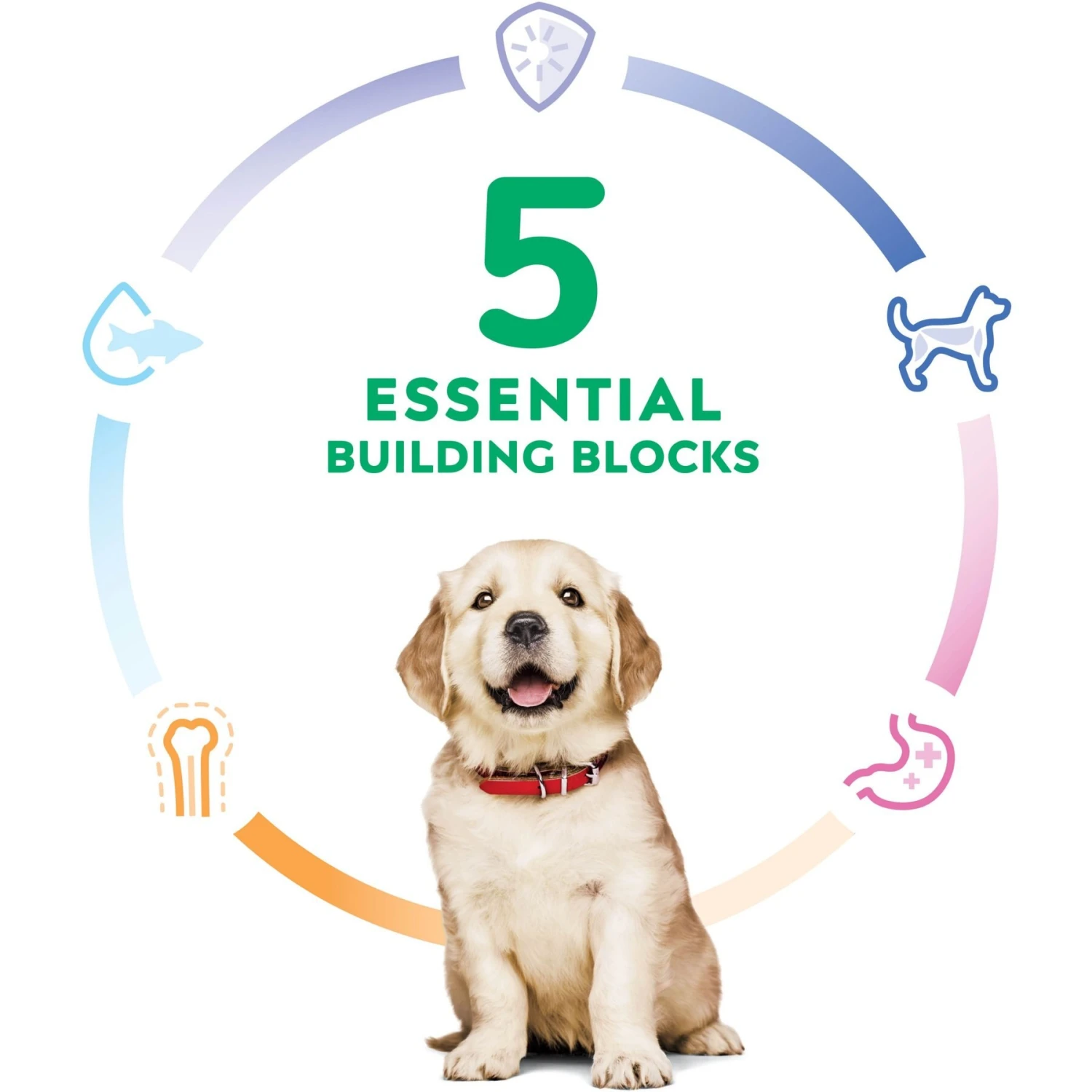 Hill's Science Diet Puppy Large Breed Chicken & Brown Rice Recipe Dry Dog Food 7 Hill's Science Diet Puppy Large Breed Chicken & Brown Rice Recipe Dry Dog Food - Image 5