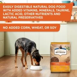 Rachael Ray Nutrish Limited Ingredient Lamb Meal & Brown Rice Recipe Dry Dog Food -Blue Buffalo || ROYAL CANIN || Wellness Sales 77994 PT4. AC SS1800 V1692806348