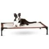 K&H Pet Products Self-Warming Elevated Dog Bed 1 K&H Pet Products Self-Warming Elevated Dog Bed -Blue Buffalo || ROYAL CANIN || Wellness Sales 78467 MAIN. AC SS1800 V1608770264