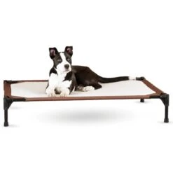 K&H Pet Products Self-Warming Elevated Dog Bed