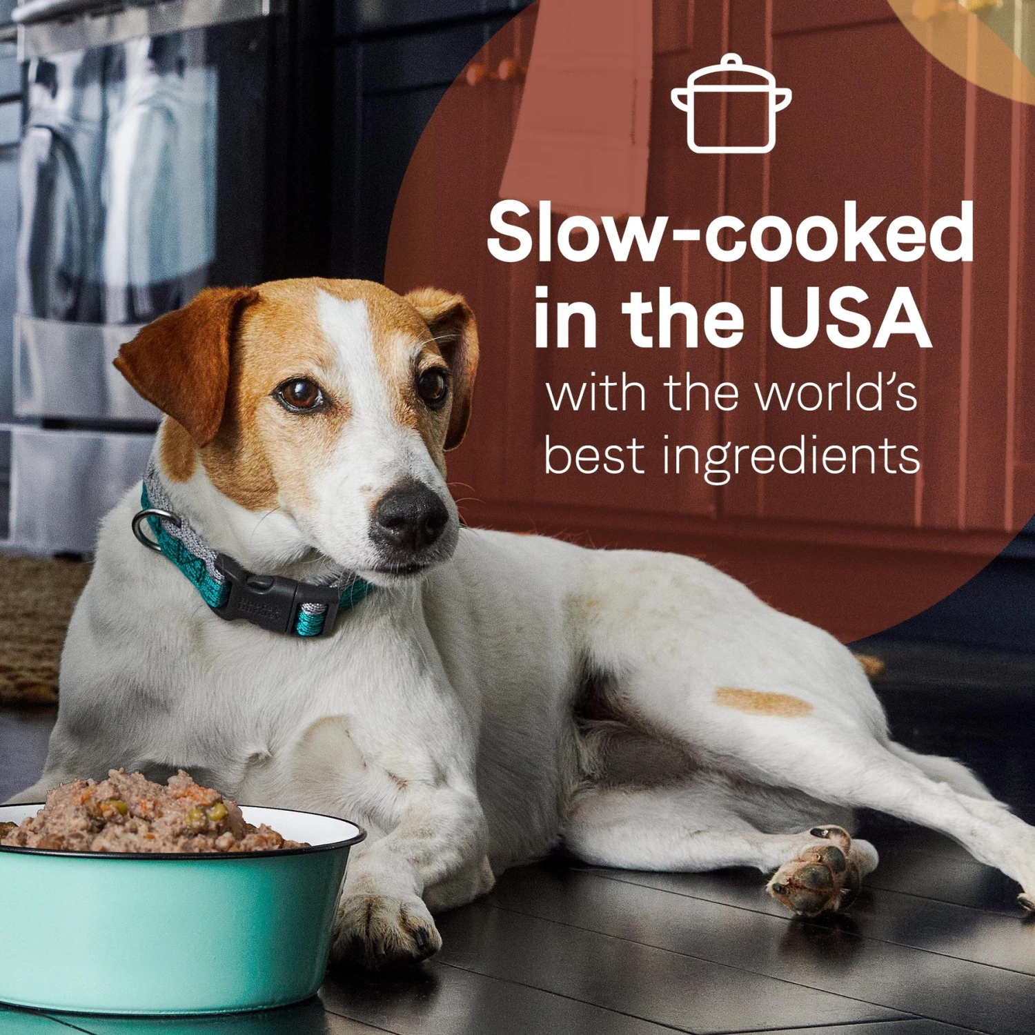 CANIDAE PURE 2-in-1 Goodness Pate Recipe Real Salmon & Sweet Potatoes In Bone Broth Wet Dog Food, 11.5-oz Box, Case Of 6 7 CANIDAE PURE 2-in-1 Goodness Pate Recipe Real Salmon & Sweet Potatoes In Bone Broth Wet Dog Food, 11.5-oz Box, Case Of 6 - Image 5